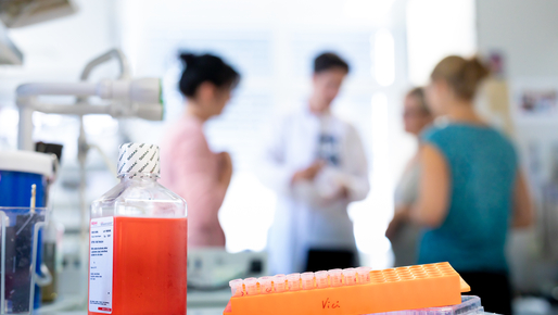 Laboratory bench with cell culture media, sample tubes, and researchers collaborating in the background during biomedical research.